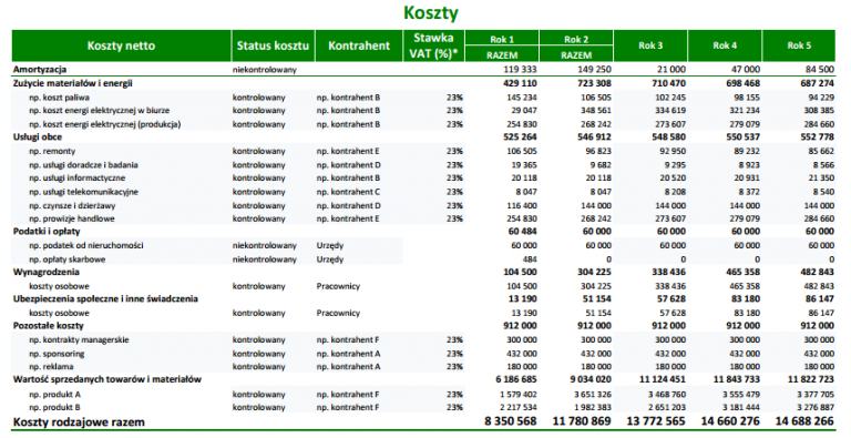 Plan Finansowy – Enterprise Startup | CFO Na Godziny